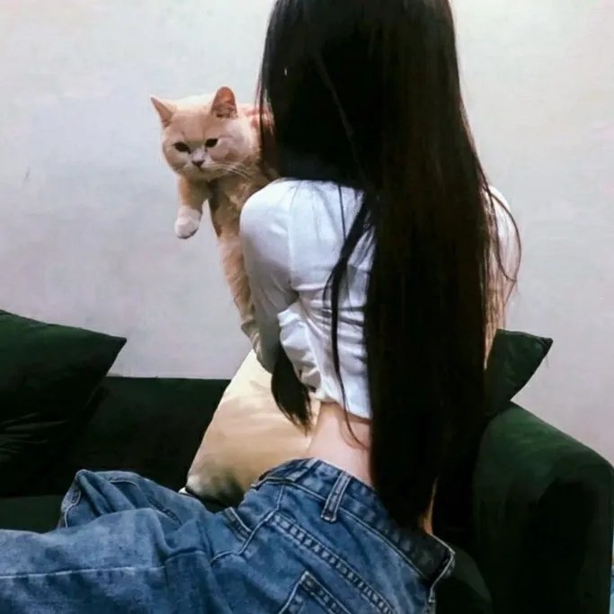 我爱莎拉简